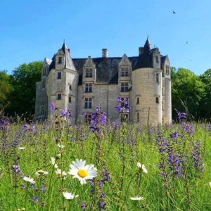 Château des Brétignolles