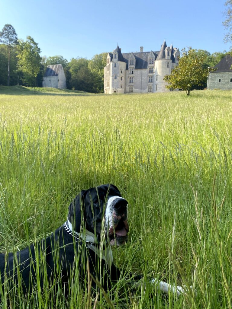 Château des Brétignolles